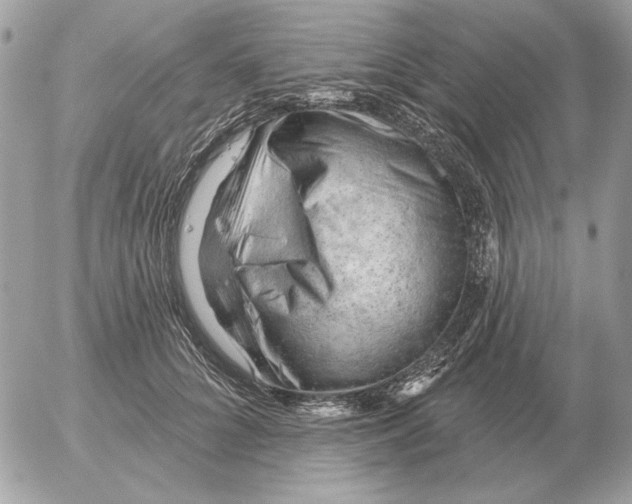 X0000052640704200507221816