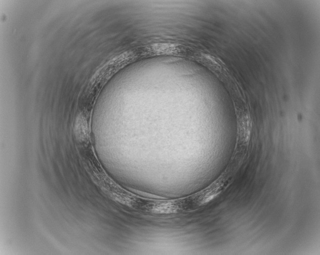 X0000052640705200507221816