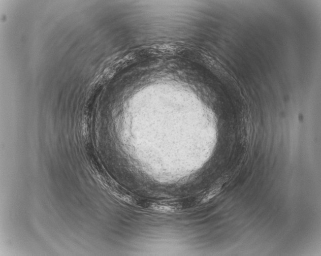 X0000052640706200507221815