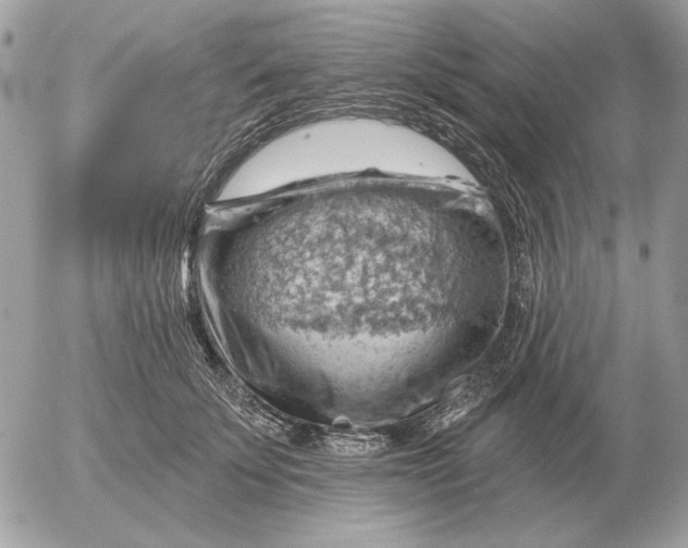 X0000052640707200507221815