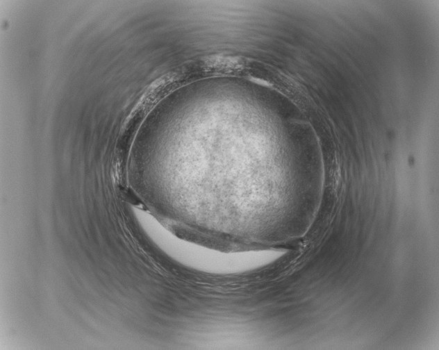 X0000052640708200507221815