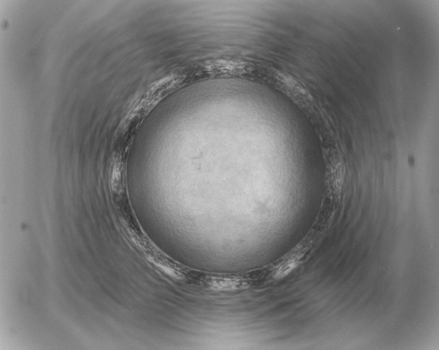 X0000052640709200507221815