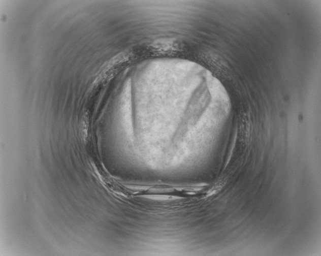 X0000052640710200507221815