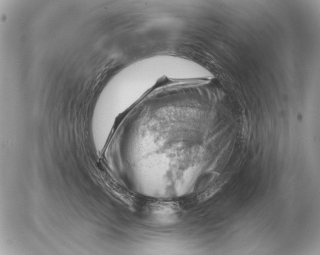 X0000052640711200507221815