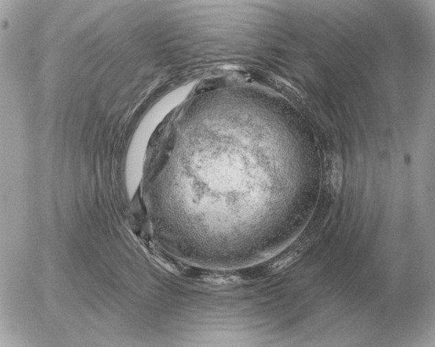 X0000052640712200507221815