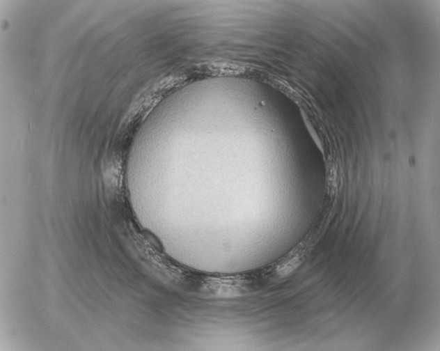 X0000052640713200507221815