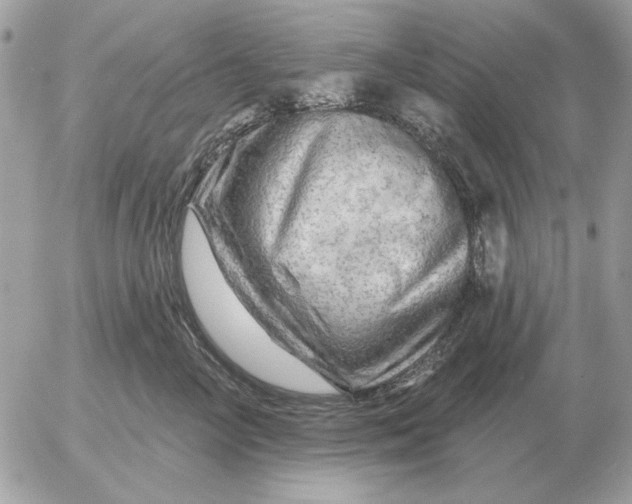 X0000052640714200507221815