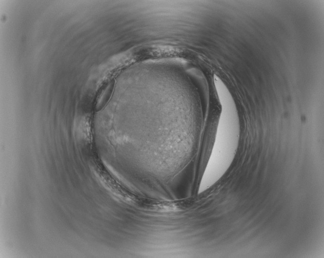 X0000052640715200507221815