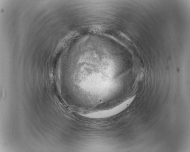 X0000052640716200507221815