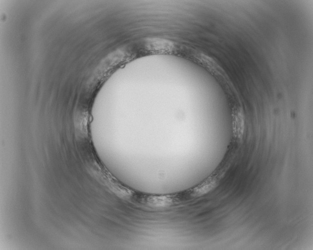 X0000052640717200507221815