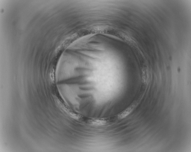 X0000052640718200507221815