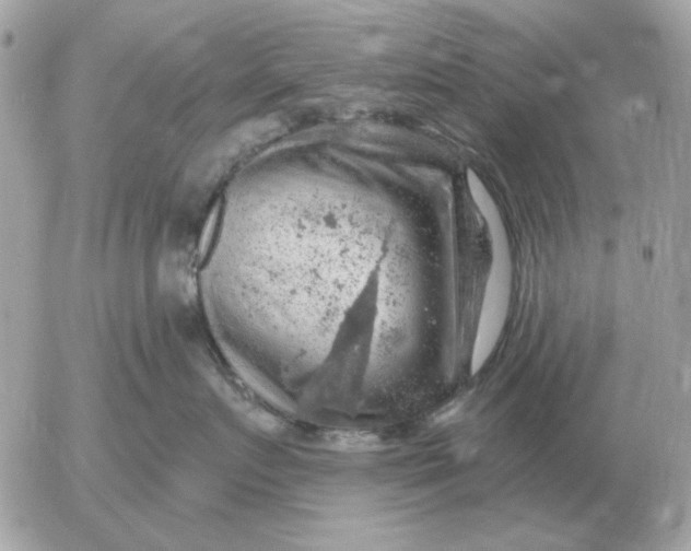 X0000052640719200507221815