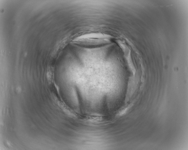 X0000052640720200507221815