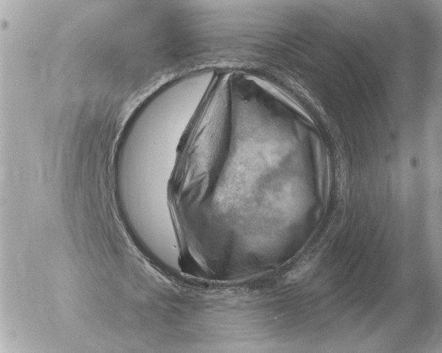 X0000052640721200507221814