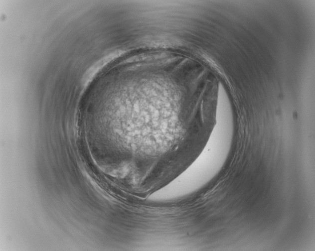 X0000052640722200507221814