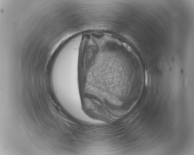 X0000052640723200507221814