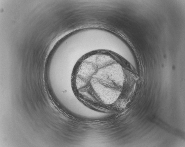 X0000052640724200507221815