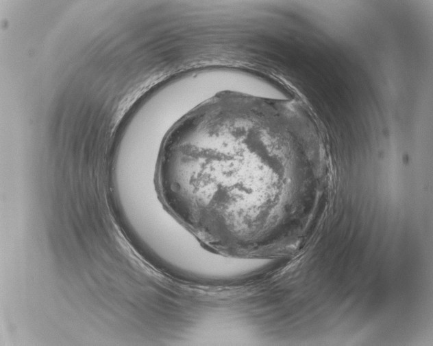 X0000052640725200507221815