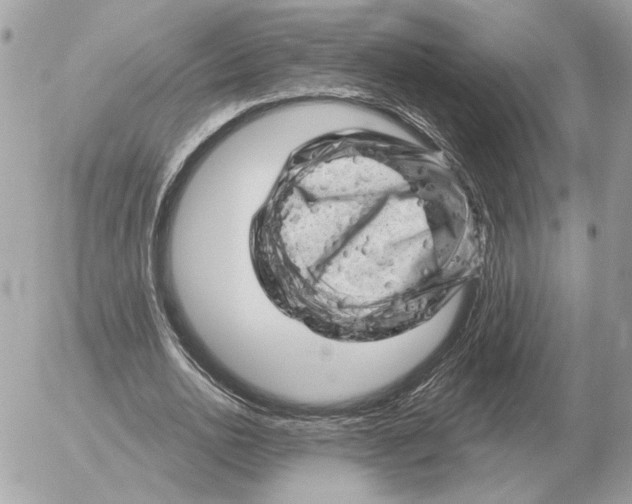 X0000052640726200507221815