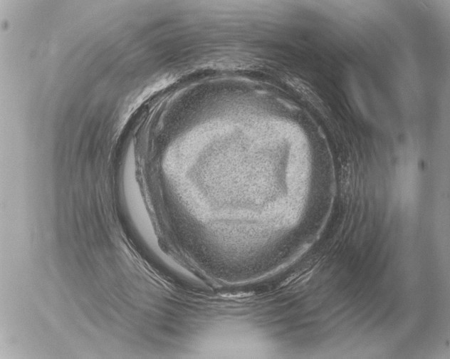 X0000052640727200507221815