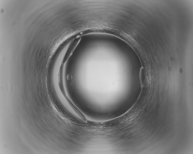 X0000052640728200507221815