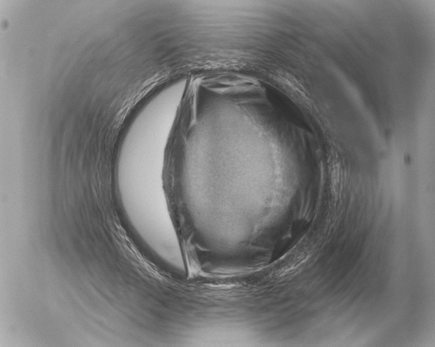 X0000052640729200507221815