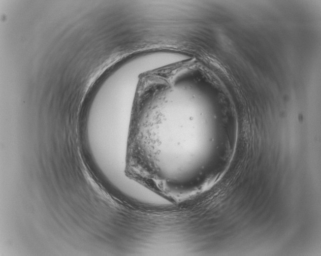 X0000052640730200507221815