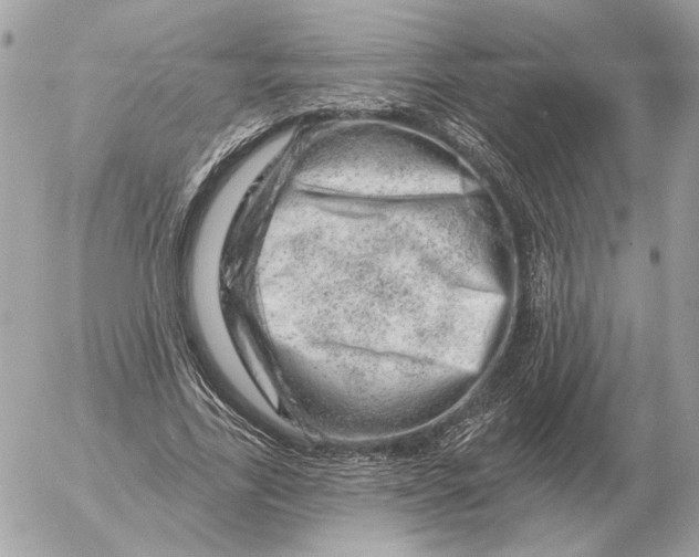 X0000052640731200507221815