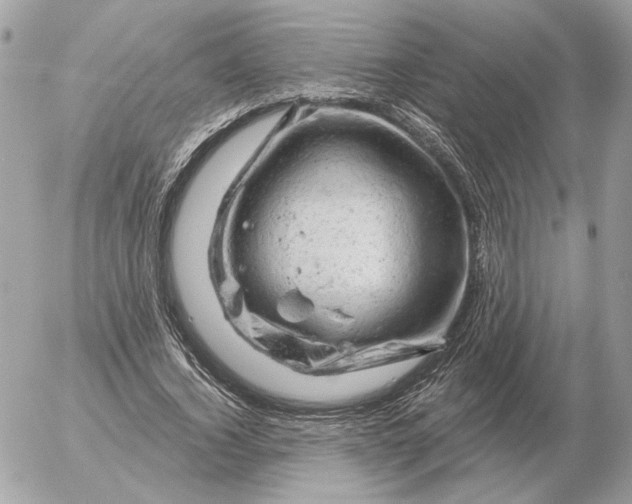 X0000052640732200507221815