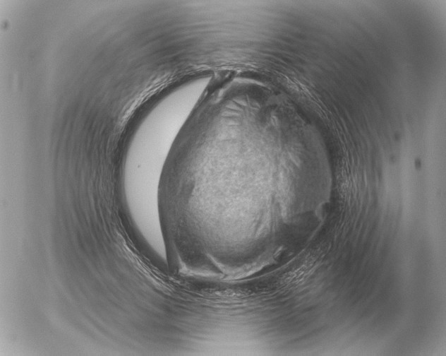 X0000052640735200507221815