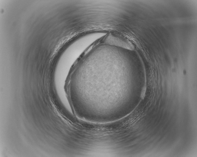 X0000052640736200507221815