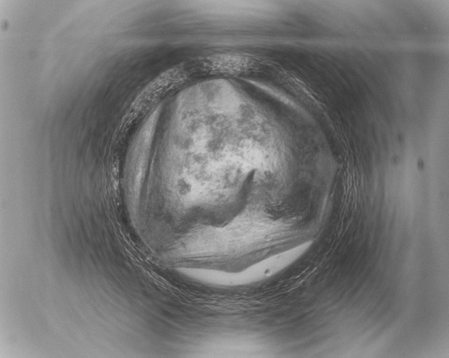 X0000052640737200507221815