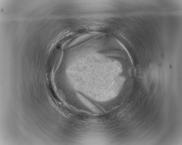 X0000052640738200507221815