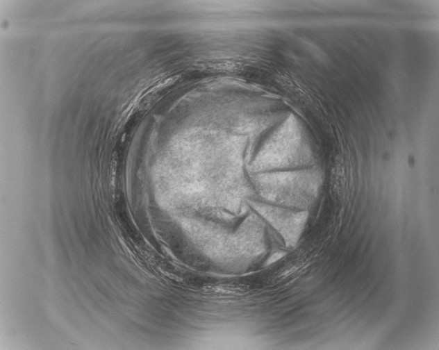 X0000052640739200507221815