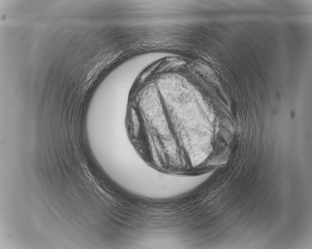 X0000052640740200507221815