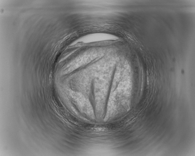 X0000052640741200507221815