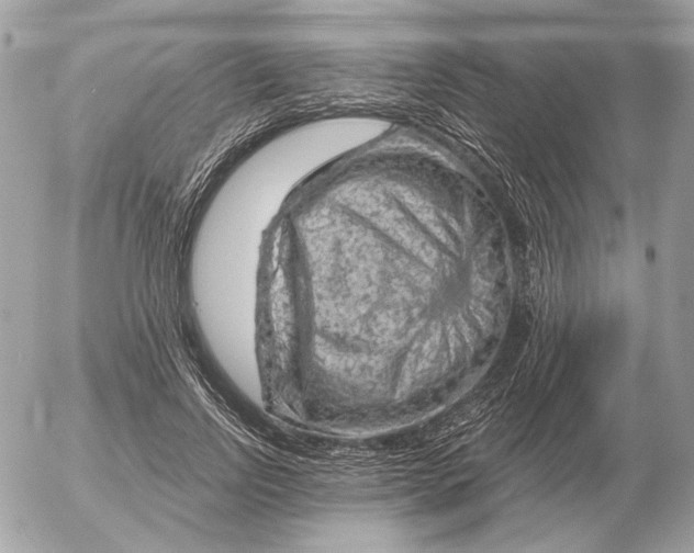 X0000052640742200507221815