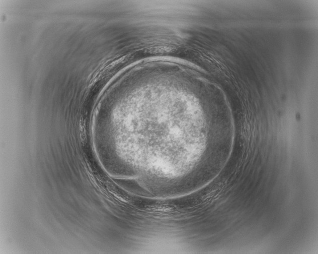 X0000052640743200507221815