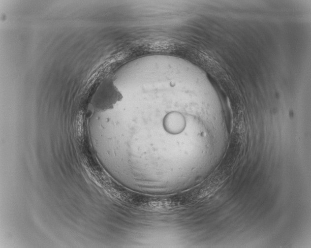 X0000052640744200507221815