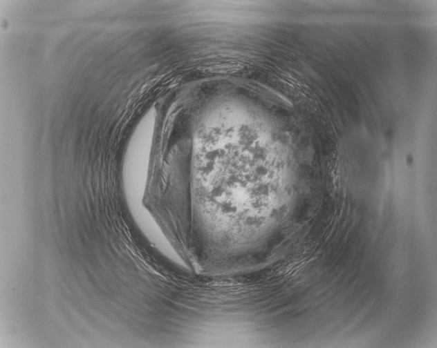 X0000052640745200507221815