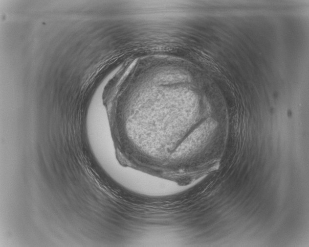 X0000052640746200507221815