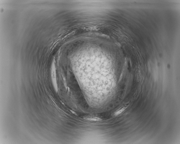 X0000052640747200507221815