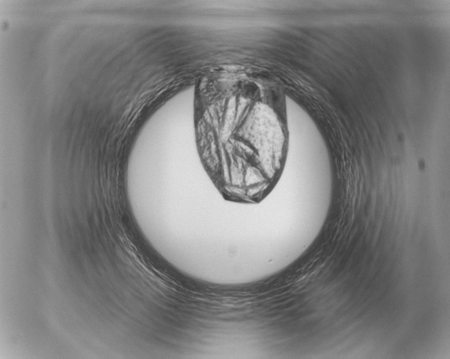 X0000052640748200507221815