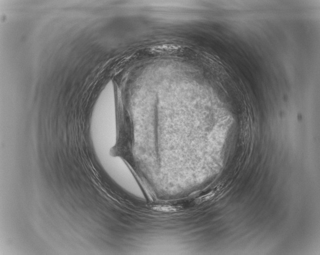 X0000052640749200507221815