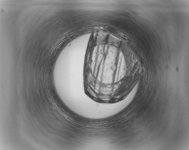 X0000052640750200507221815