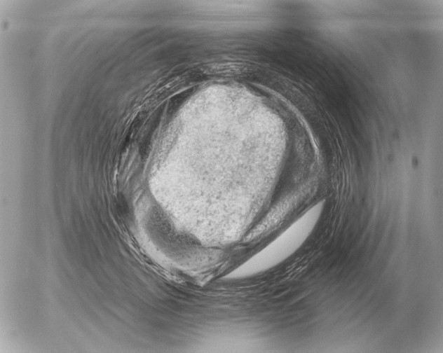 X0000052640751200507221815