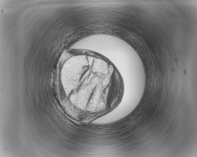 X0000052640752200507221815