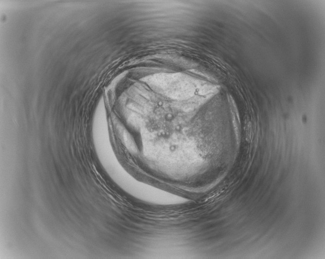 X0000052640753200507221815