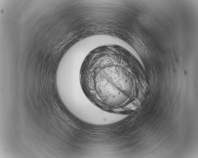 X0000052640754200507221815