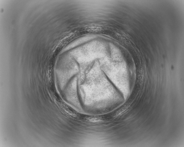 X0000052640755200507221815